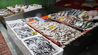 Samsun'da balıkçılar deniz suyu sıcaklıklarının düşmesini bekliyor