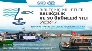 2022 “Balıkçılık ve Su Ürünleri Yılı” ilan edildi