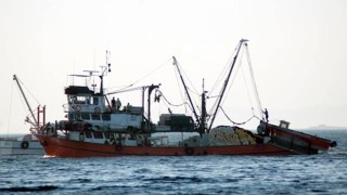 Lübnan ülkedeki balık zenginliğini keşfetmek için çalışma başlattı