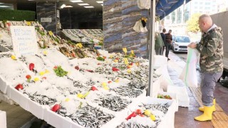 Samsun'da hamsinin kilogramı 15-20 liradan satılıyor