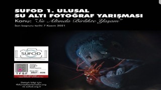SUFOD 1. Ulusal Su Altı Fotoğraf Yarışması