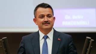 Bakan Pakdemirli: Marmara'daki balıkçılara destek ödemelerini yarın yapacağız