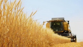 Tarım ÜFE Ekimde aylık yüzde 1,68, yıllık yüzde 23,1 arttı