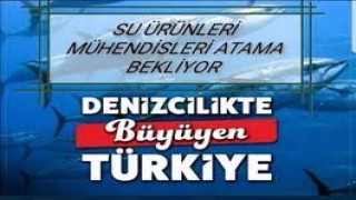 Atanamayan Su Ürünleri Mühendisleri çözüm bekliyor