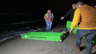 Balıkçının denizde ayaklarına ağ dolanmış cesedi bulundu