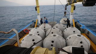 İskenderun Körfezi'ne bırakılan yapay resiflerle canlı çeşitliliği artacak