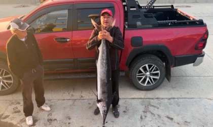 Gökçeadalı balıkçı 2 metre boyunda, 50 kilogram ağırlığında merlin balığı avladı