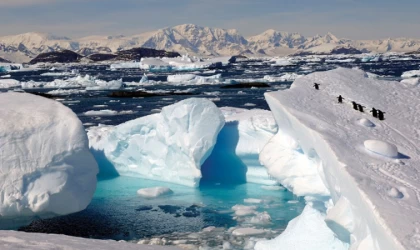 "Deniz buzullarındaki rekor düşüşün iklim değişikliği dışında nedeni yok"