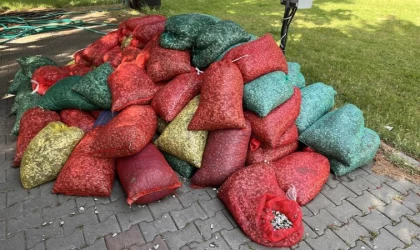 Kaçak avcılık operasyonu: 3 ton kum şırlanı ele geçirildi
