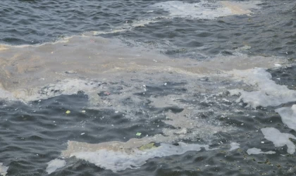 Mersin Körfezi'ndeki köpüklenme için "müsilajdan beter" yorumu