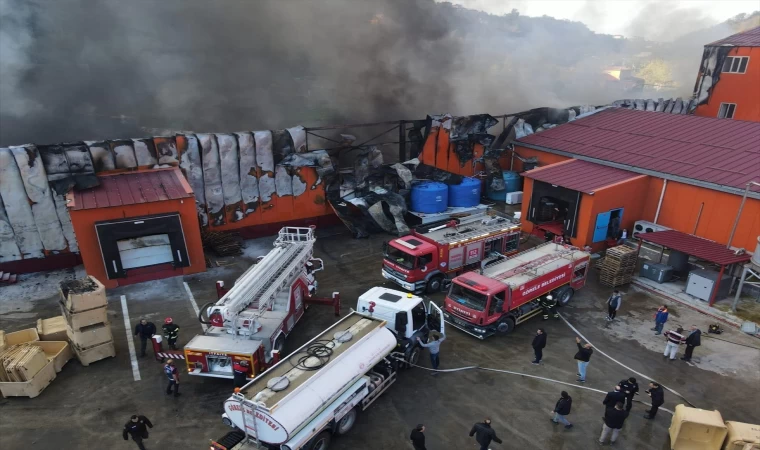 Giresun'da balık işleme fabrikasının soğuk hava deposundaki yangın söndürüldü