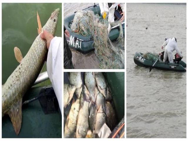 Büyükçekmece Gölü'nde Yasadışı Ticari Balık Avcılığı Yapanlara Yönelik Denetim