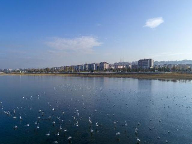 Kısıtlamayla Beyşehir Gölü'ndeki kuş sayısı arttı