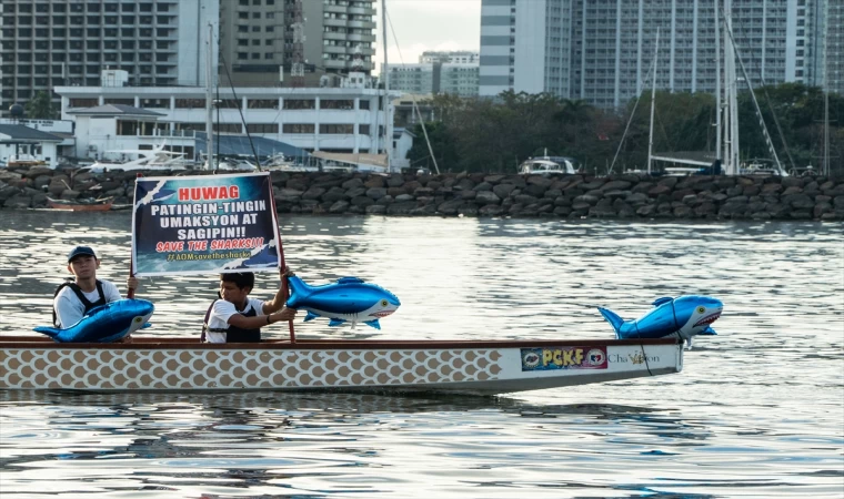 Filipinler'de Köpek Balıklarını Koruma Haftası kutlandı