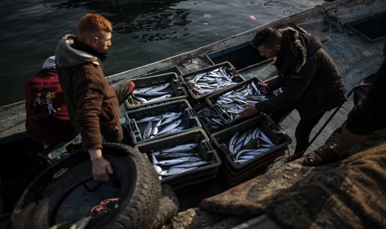 Gazze balık pazarında hareketlilik