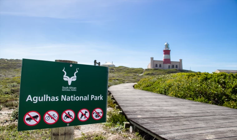 Afrika'nın en güney noktasında, okyanusların kesiştiği yer: Agulhas Burnu