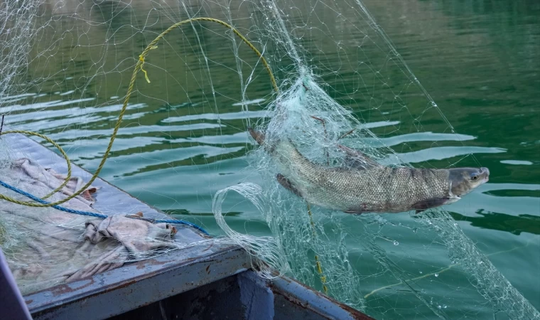 Irak'ta av yasağının bitmesiyle balıkçılar ağlarını sulara atmaya başladı