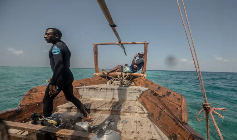 Zanzibar'ın "mercan bahçeleri" balıkçılık tehdidi altında