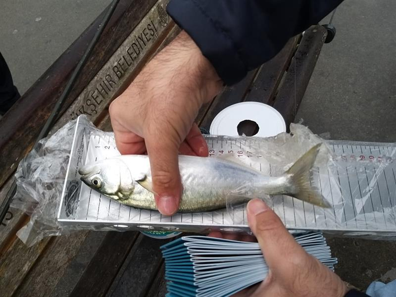 Sarıyer'de Amatör Olta Balıkçılarına Denetim