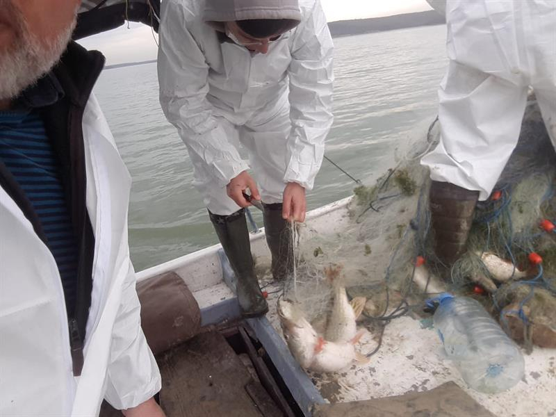 Terkos Gölü'nde Yasadışı Ticari Balık Avcılığı Denetimi