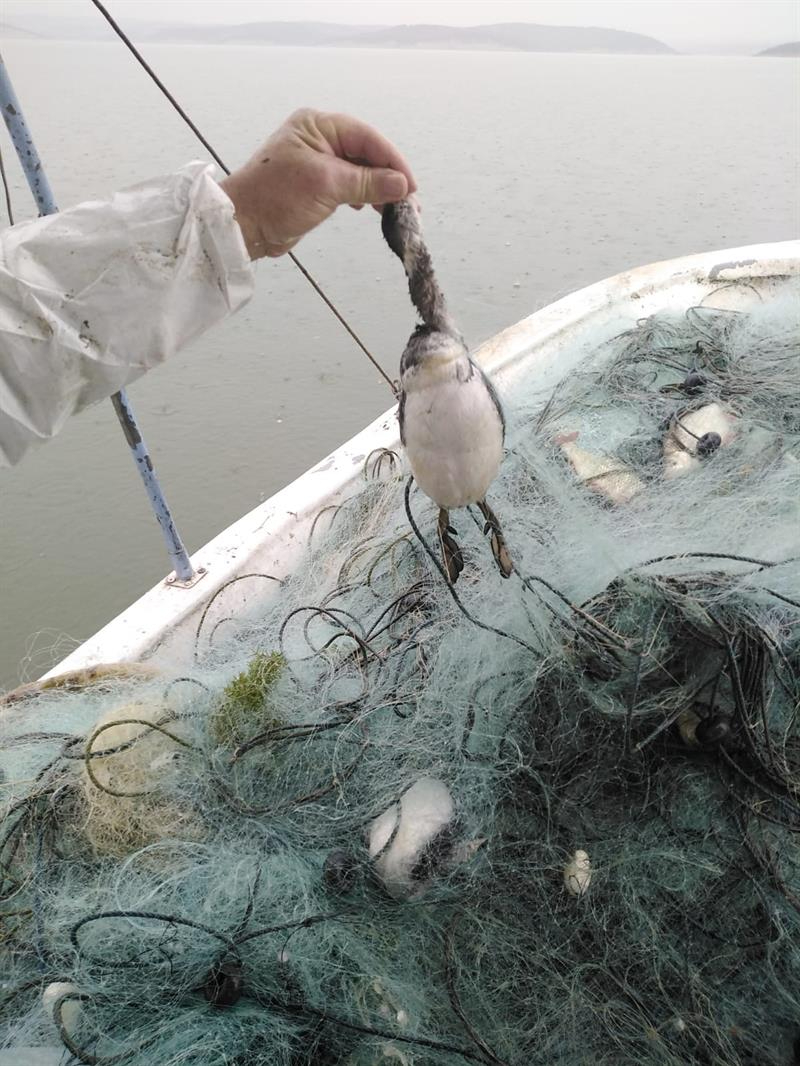 Terkos Gölü'nde Yasadışı Ticari Balık Avcılığı Denetimi