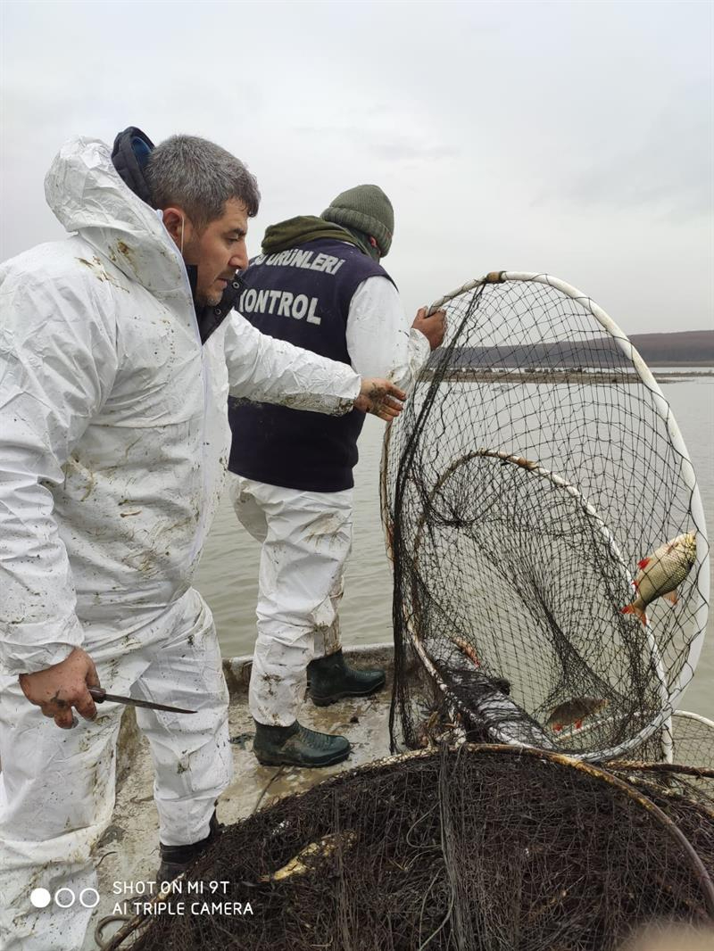 Terkos Gölü'nde Yasadışı Ticari Balık Avcılığı Denetimi