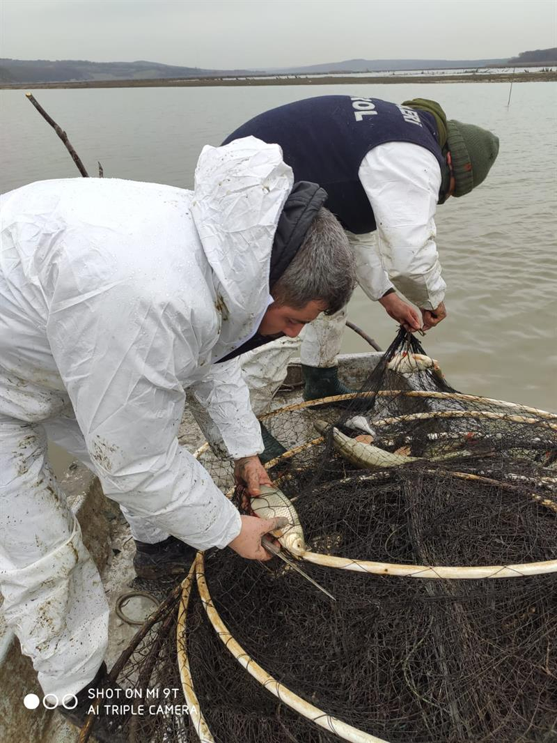 Terkos Gölü'nde Yasadışı Ticari Balık Avcılığı Denetimi