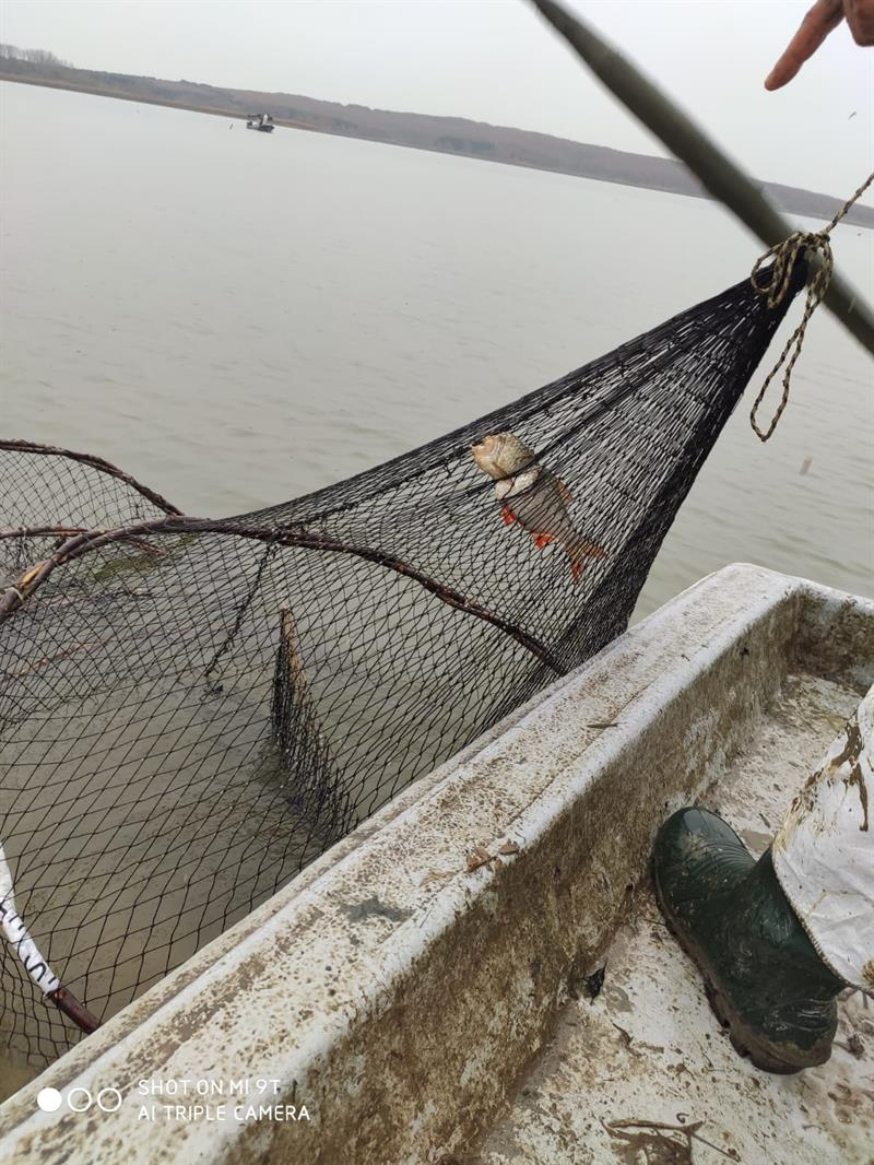 Terkos Gölü'nde Yasadışı Ticari Balık Avcılığı Denetimi