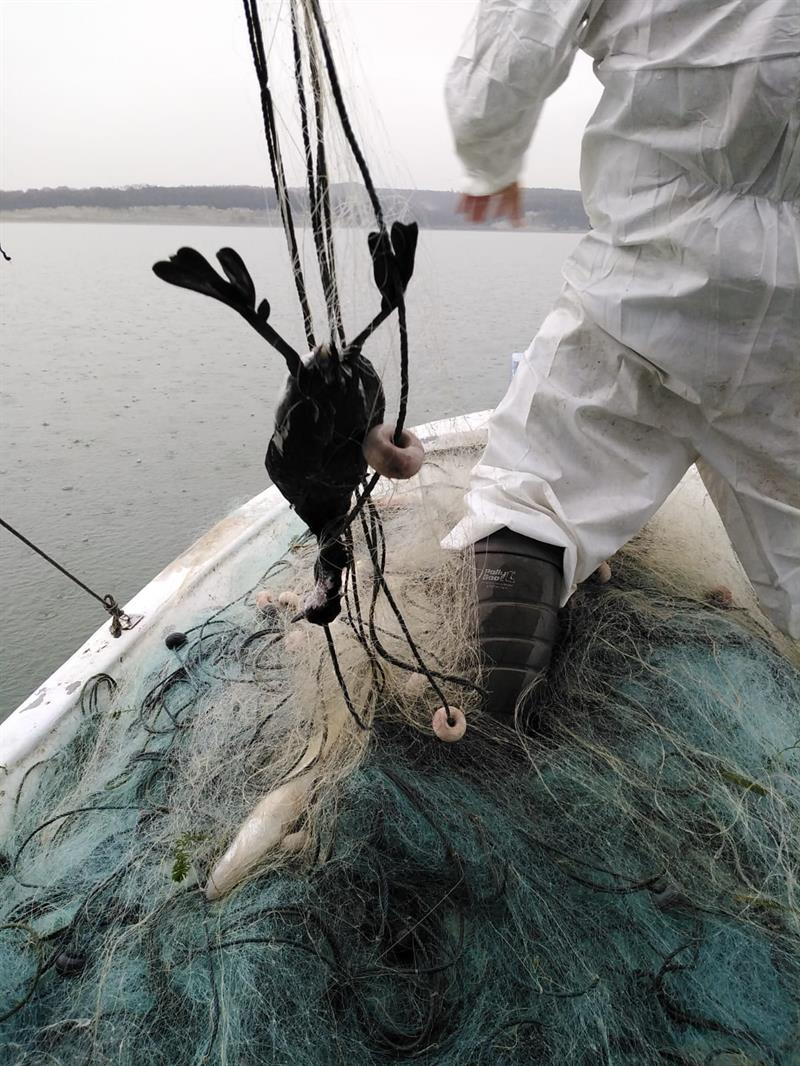 Terkos Gölü'nde Yasadışı Ticari Balık Avcılığı Denetimi