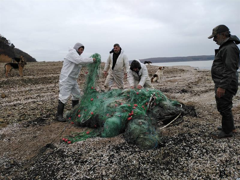 Terkos Gölü'nde Yasadışı Ticari Balık Avcılığı Denetimi