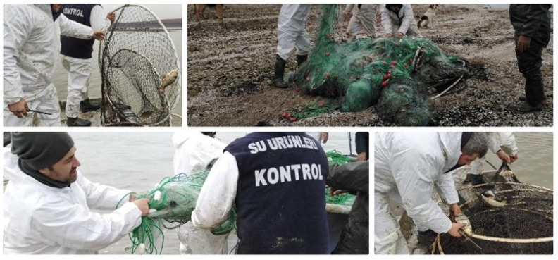 Terkos Gölü'nde Yasadışı Ticari Balık Avcılığı Denetimi
