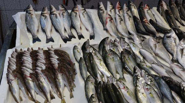 Trabzon’da kısıtlamada balığa ilgi