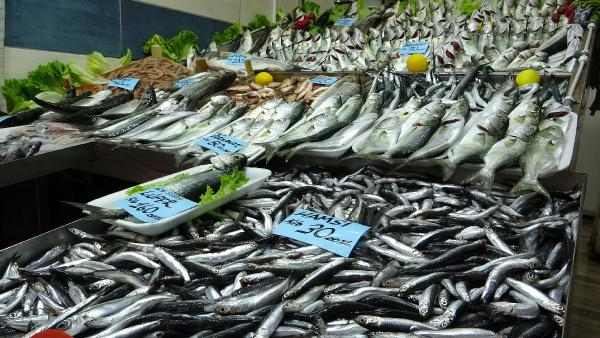 Lüfer'in fiyatında düşüş gözlendi