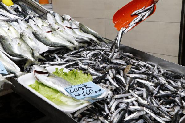 Lüfer'in fiyatında düşüş gözlendi