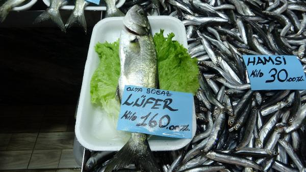 Lüfer'in fiyatında düşüş gözlendi