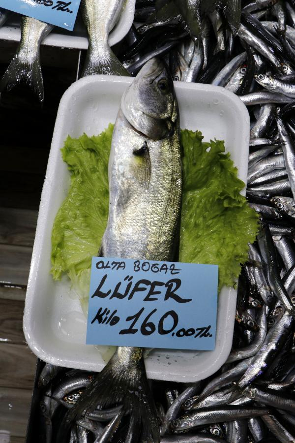 Lüfer'in fiyatında düşüş gözlendi