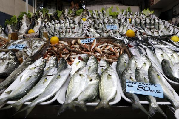 Lüfer'in fiyatında düşüş gözlendi