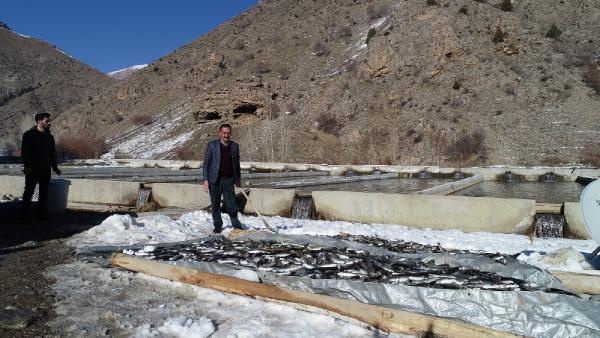 12 ton alabalık telef oldu