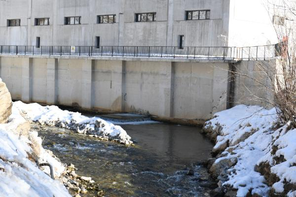 12 ton alabalık telef oldu