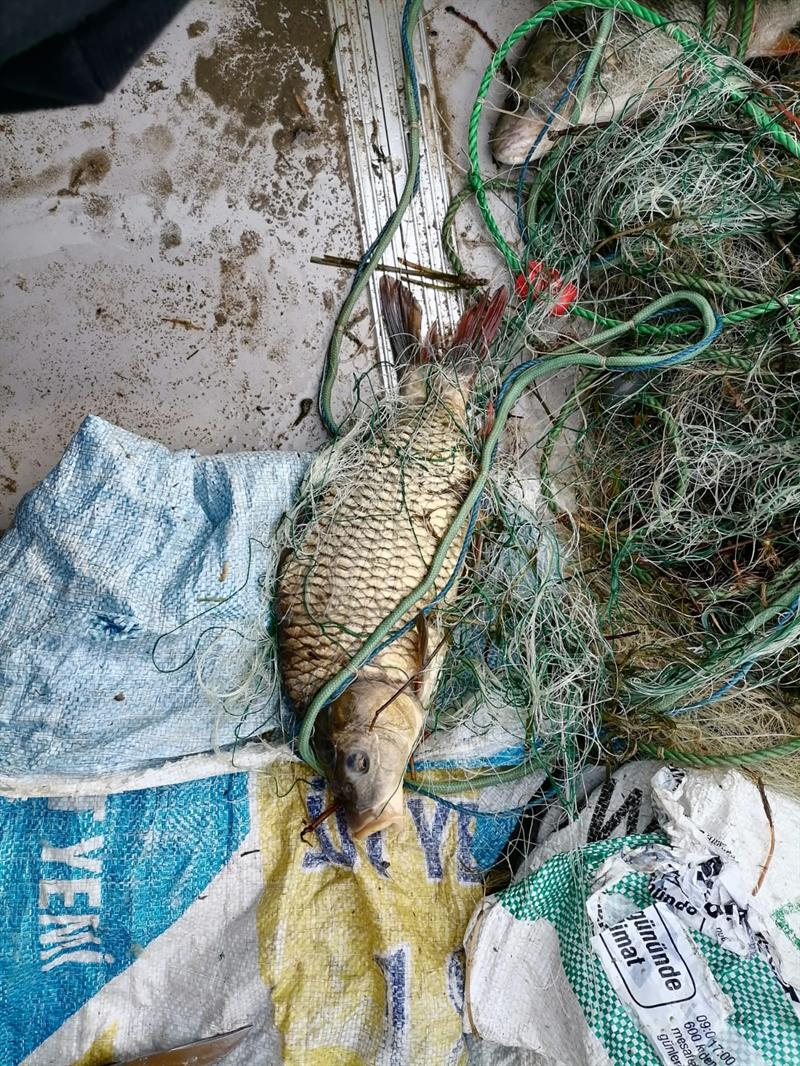 Terkos ve Büyükçekmece Gölleri'nde Denetim