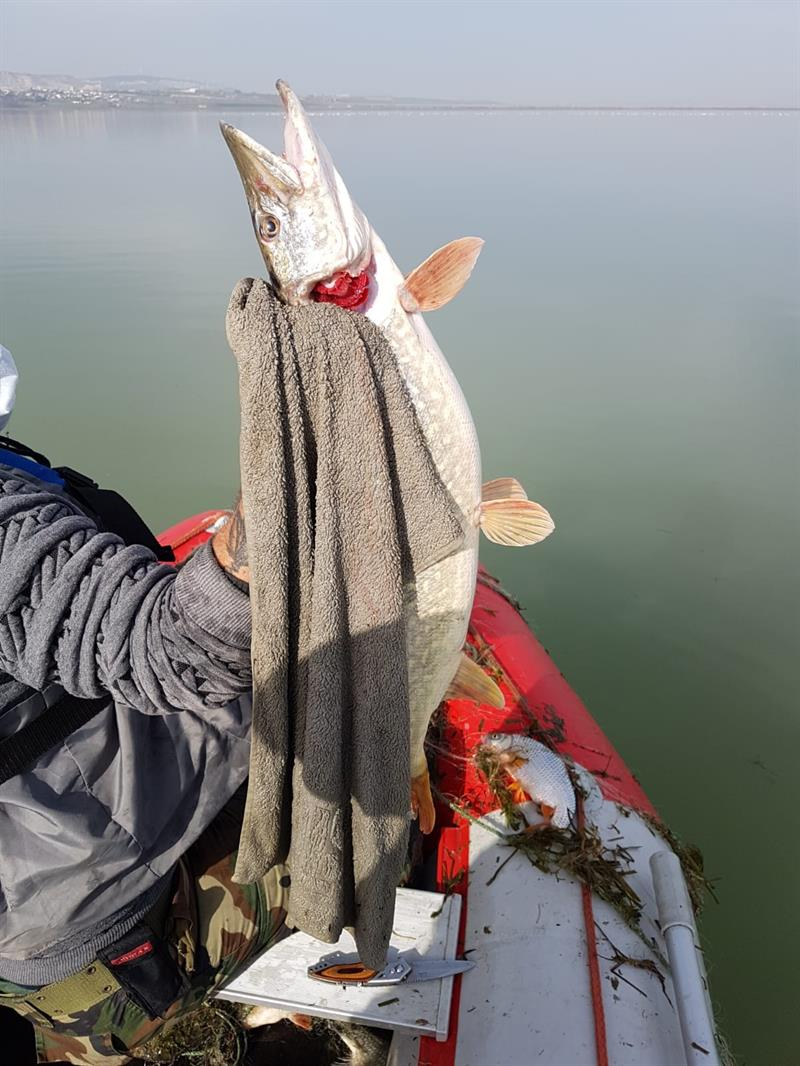 Terkos ve Büyükçekmece Gölleri'nde Denetim