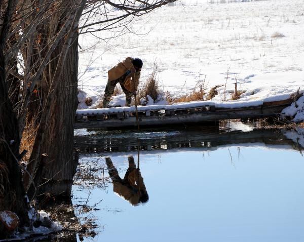 Alabalık sağım işlemi başladı