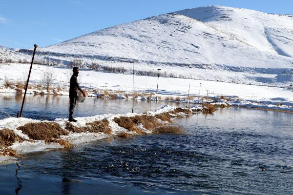 Alabalık sağım işlemi başladı