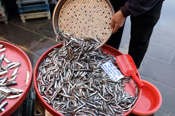 Gaziantep'te balık satışları yüzde 50 arttı