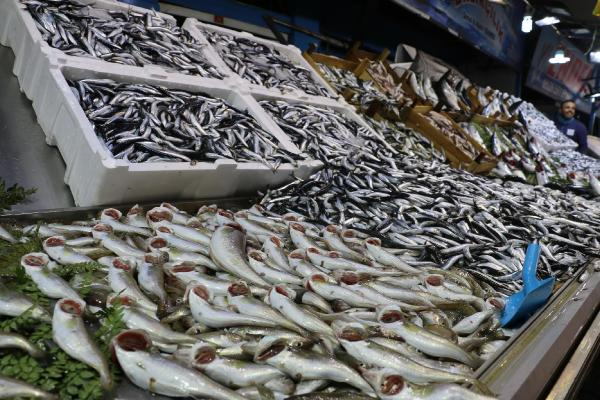 Kooperatifi Başkanı: Balığa karşı katliamlar yaptık