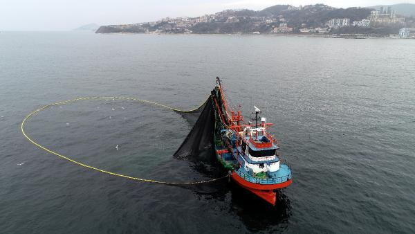 Kooperatifi Başkanı: Balığa karşı katliamlar yaptık