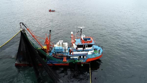 Kooperatifi Başkanı: Balığa karşı katliamlar yaptık