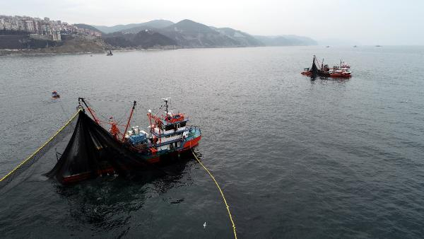 Kooperatifi Başkanı: Balığa karşı katliamlar yaptık