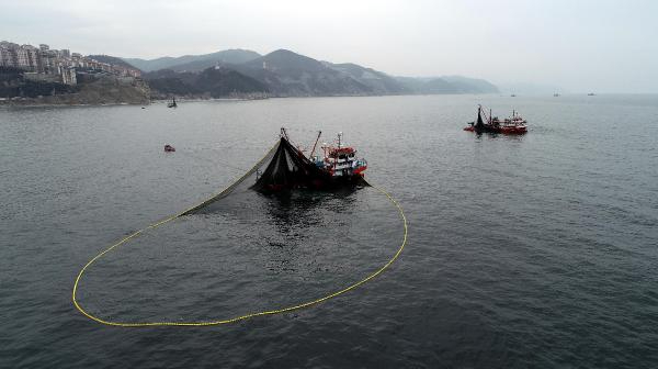 Kooperatifi Başkanı: Balığa karşı katliamlar yaptık