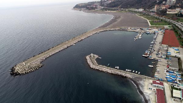 Kooperatifi Başkanı: Balığa karşı katliamlar yaptık